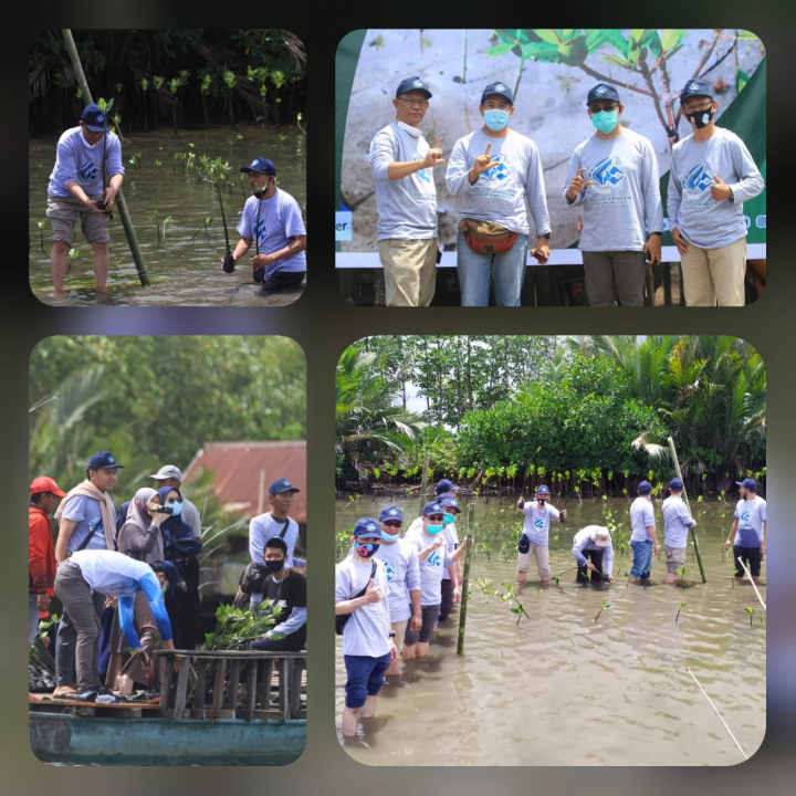 Peduli Lingkungan Pesisir Fakultas Teknik Unhas Tanam 6000 Bibit Mangrove Faculty Of Engineering Hasanuddin University